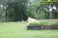 Rangamati 10