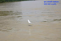 Rangamati 9